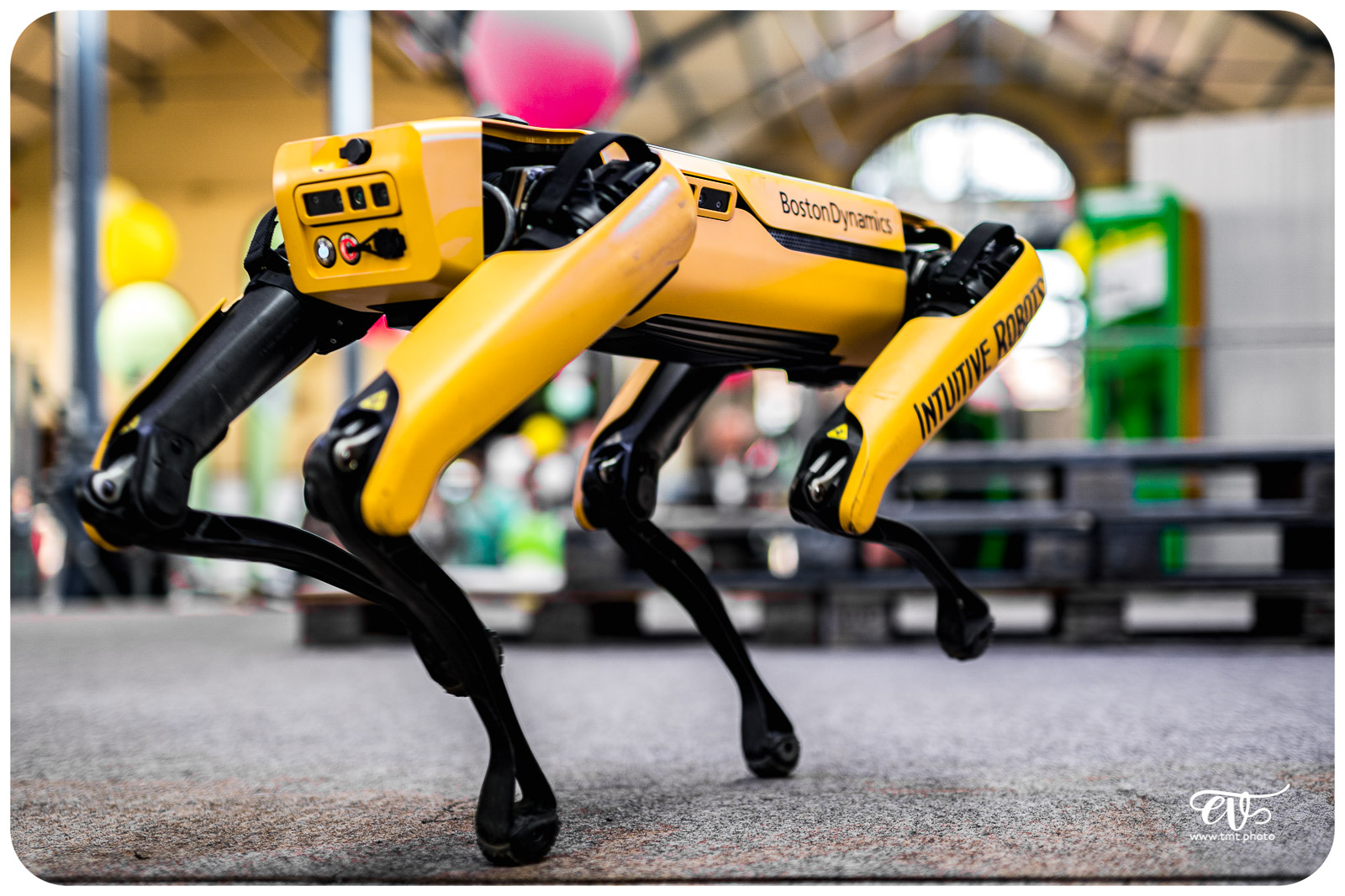 SPOT (BOSTON DYNAMICS)